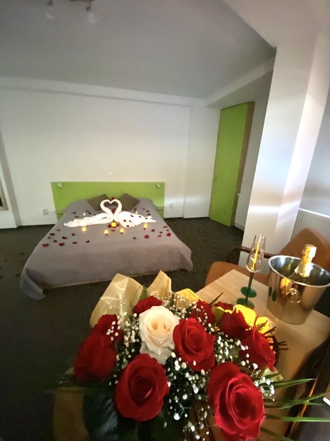 Отель Vila William’s Брашов